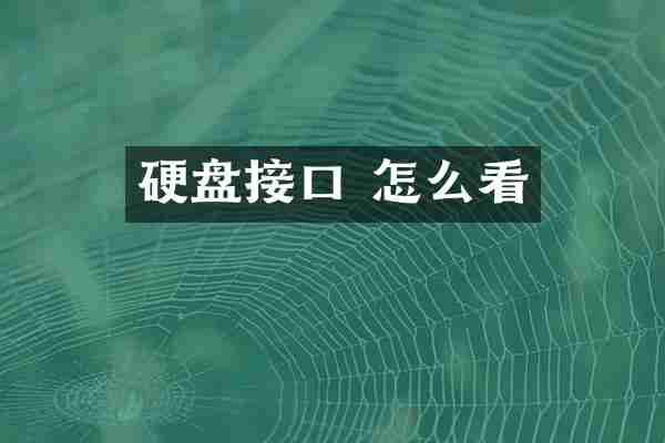 硬盘接口 怎么看