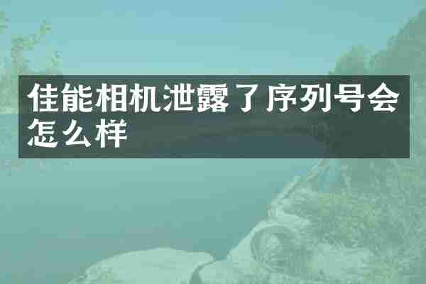 佳能相机泄露了序列号会怎么样