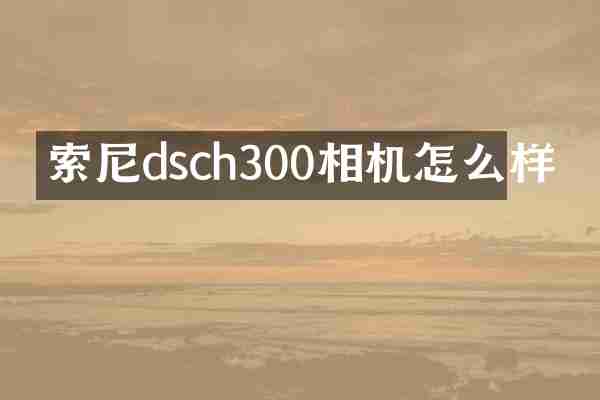 索尼dsch300相机怎么样