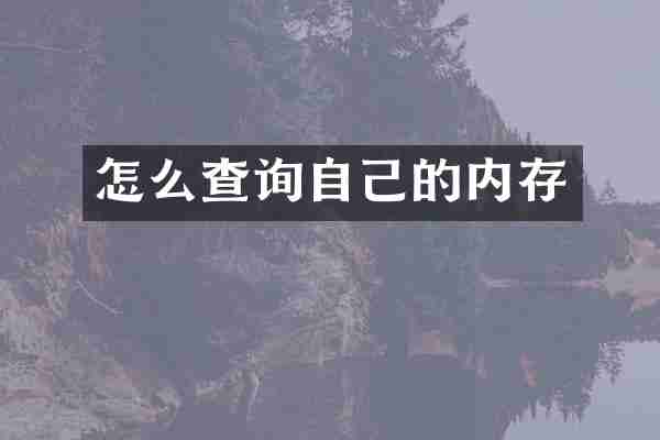 怎么查询自己的内存