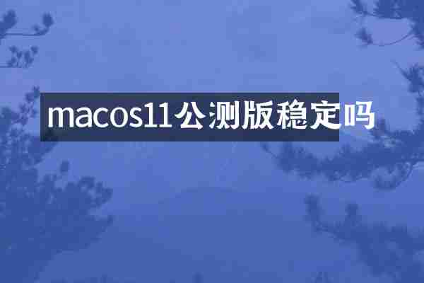 macos11公测版稳定吗