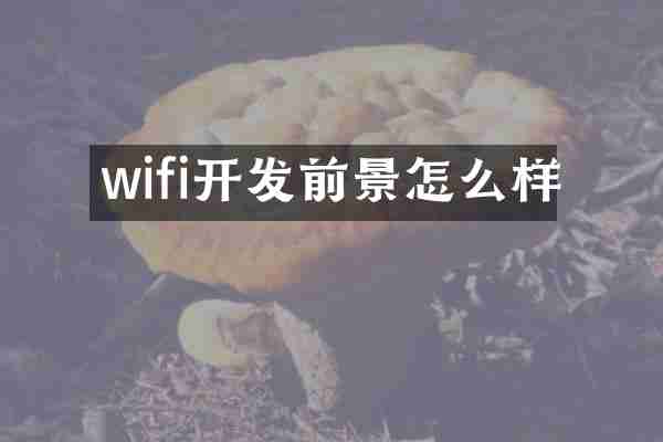wifi开发前景怎么样