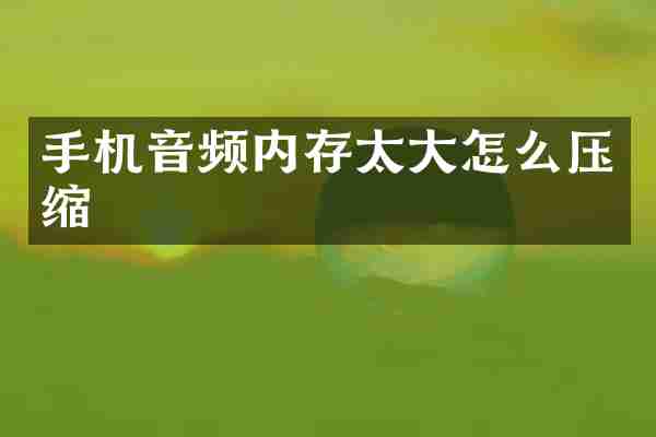 手机音频内存太大怎么压缩