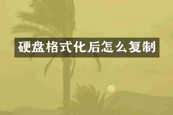 硬盘格式化后怎么复制