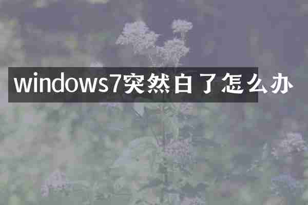 windows7突然白了怎么办