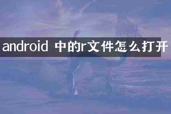android 中的r文件怎么打开