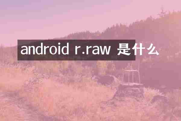 android r.raw 是什么