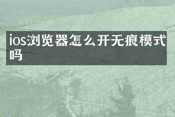ios浏览器怎么开无痕模式吗