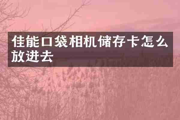 佳能口袋相机储存卡怎么放进去