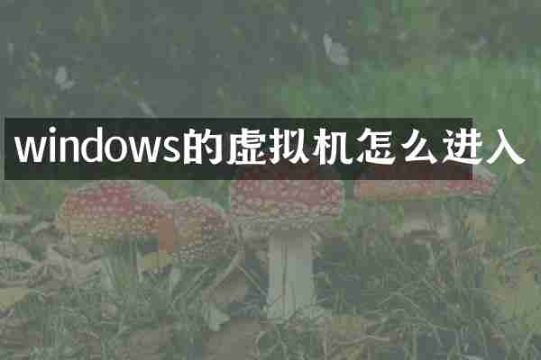 windows的虚拟机怎么进入