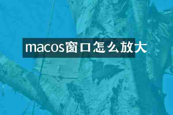macos窗口怎么放大