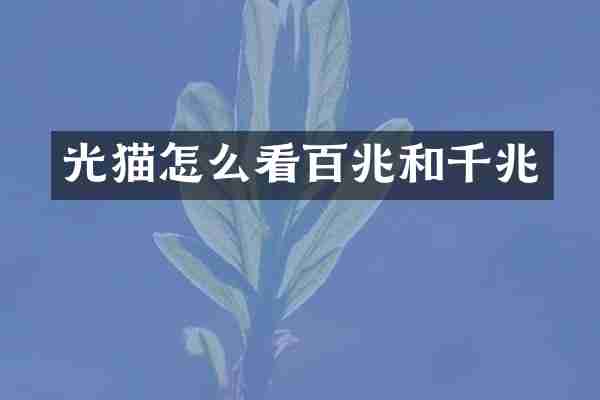 光猫怎么看百兆和千兆