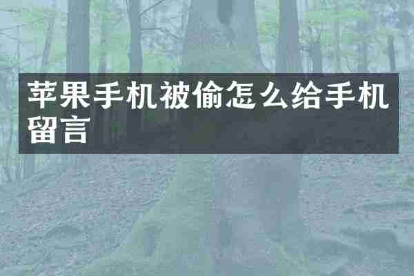 苹果手机被偷怎么给手机留言