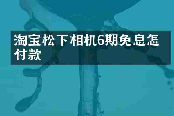 淘宝松下相机6期免息怎么付款