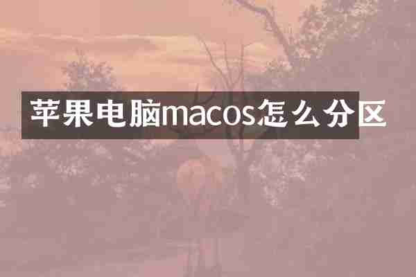 苹果电脑macos怎么分区