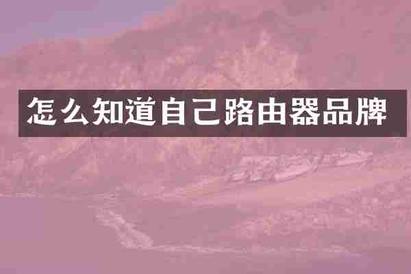 怎么知道自己路由器品牌