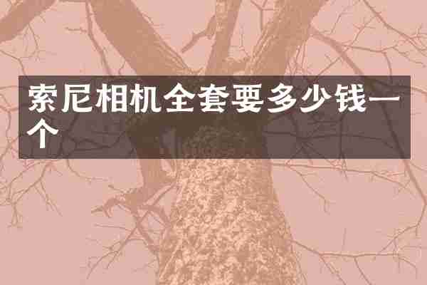 索尼相机全套要多少钱一个