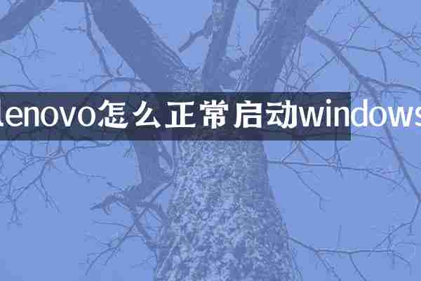lenovo怎么正常启动windows