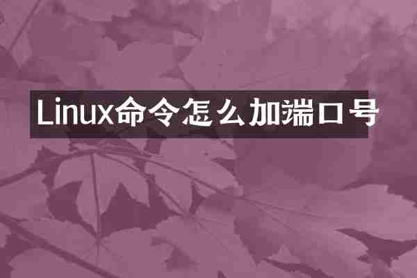 Linux命令怎么加端口号