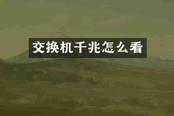 交换机千兆怎么看