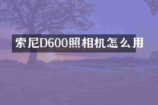 D600照相机怎么用