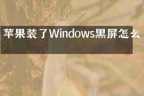 苹果装了Windows黑屏怎么办