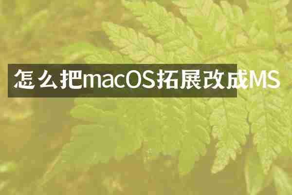 怎么把macOS拓展改成MS