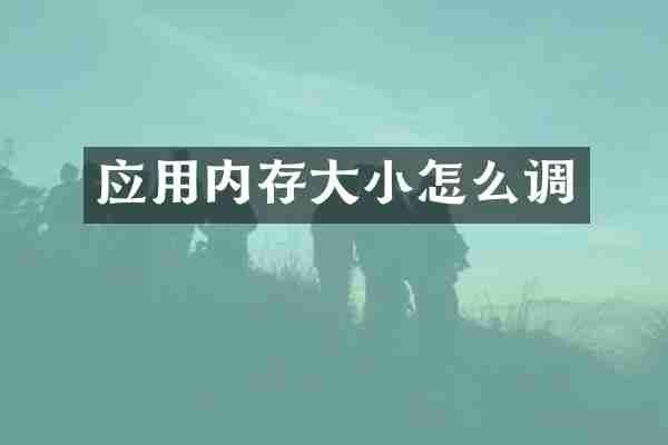 应用内存大小怎么调