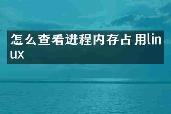 怎么查看进程内存占用linux