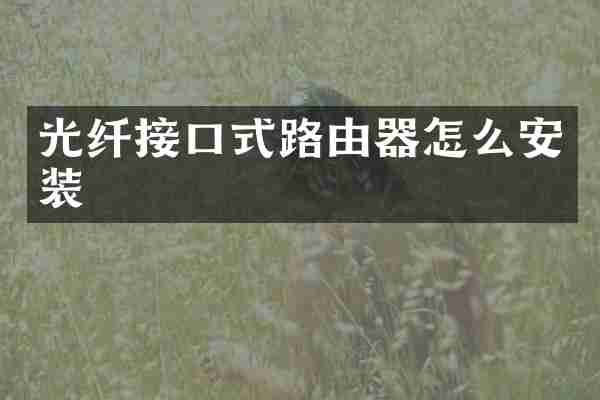 光纤接口式路由器怎么安装