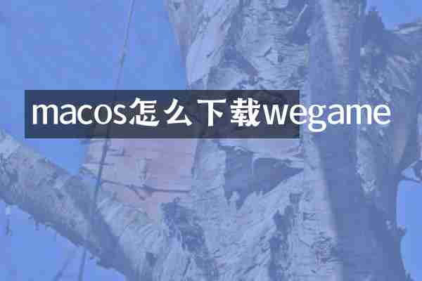 macos怎么下载wegame