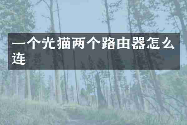 一个光猫两个路由器怎么连