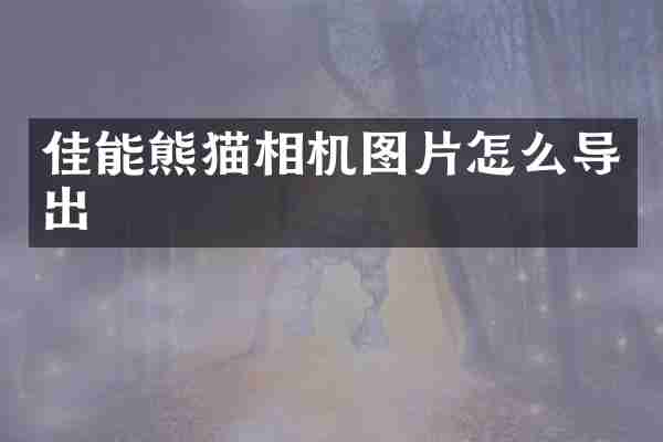 佳能熊猫相机图片怎么导出