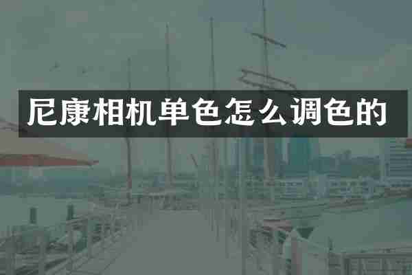 尼康相机单色怎么调色的