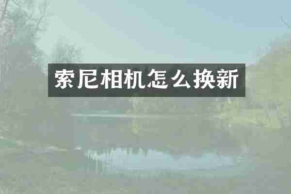 相机怎么换新