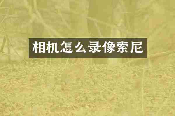 相机怎么录像索尼