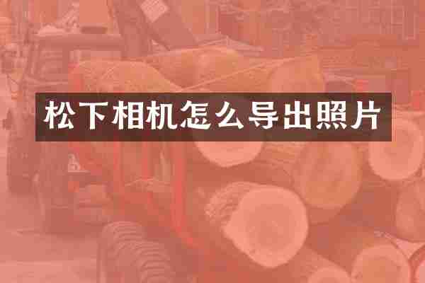 相机怎么导出照片