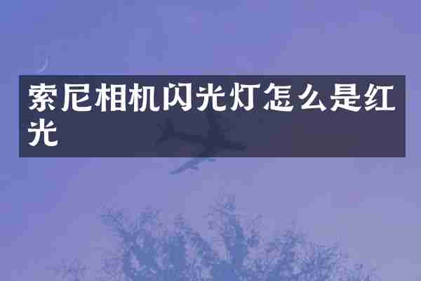 索尼相机闪光灯怎么是红光