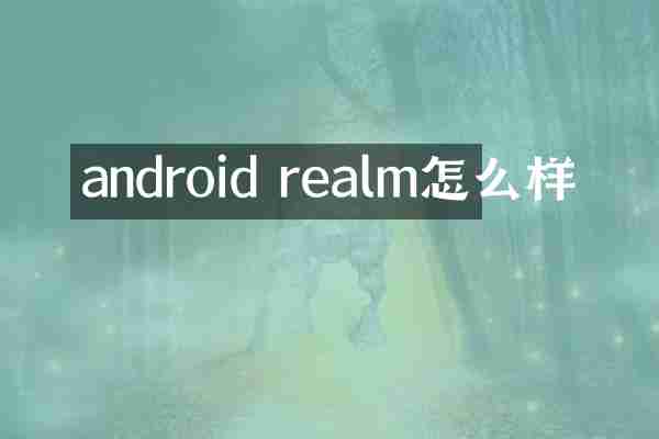 android realm怎么样
