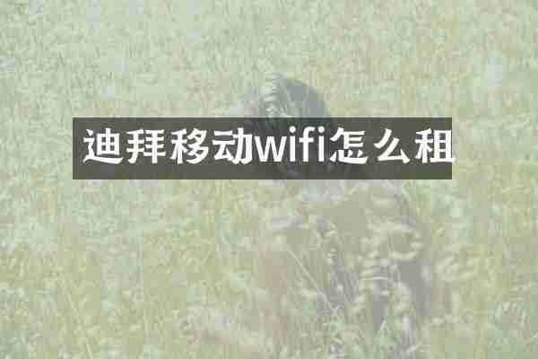 迪拜移动wifi怎么租