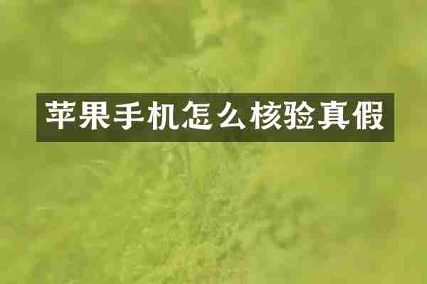 苹果手机怎么核验真假