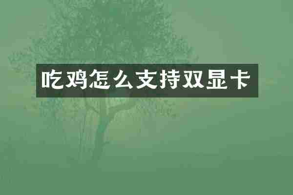 吃鸡怎么支持双显卡