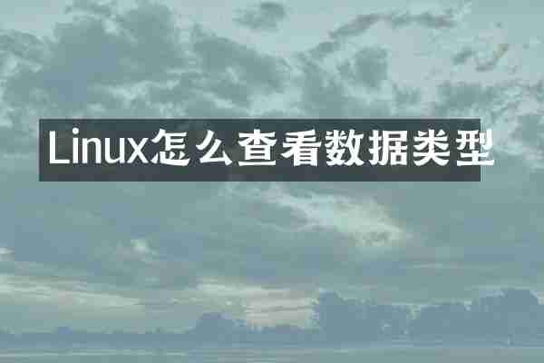 Linux怎么查看数据类型