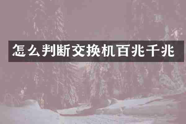 怎么判断交换机百兆千兆