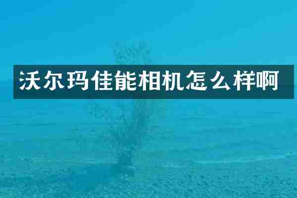沃尔玛佳能相机怎么样啊