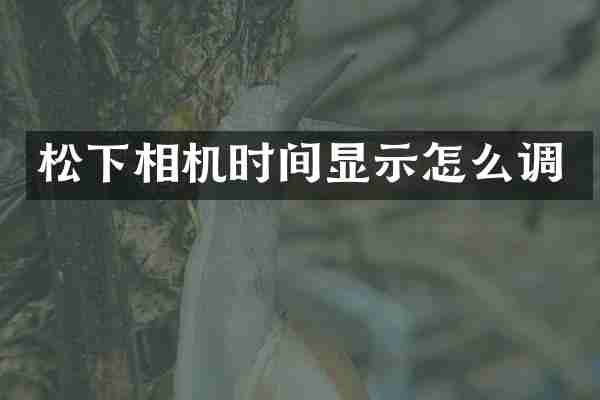 相机时间显示怎么调