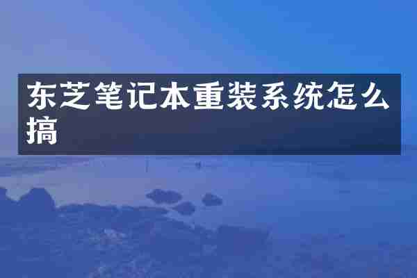 东芝笔记本重装系统怎么搞