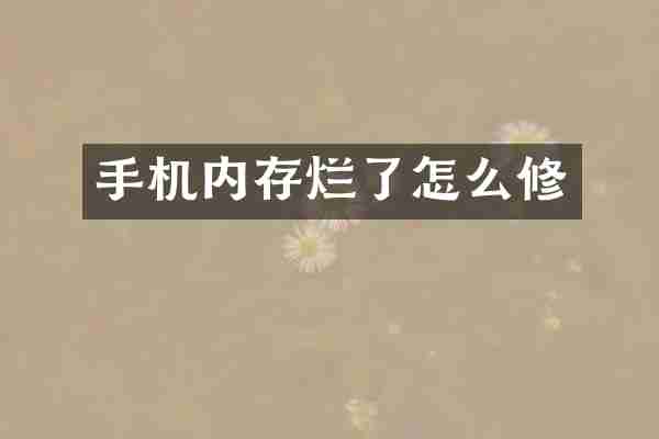 手机内存烂了怎么修