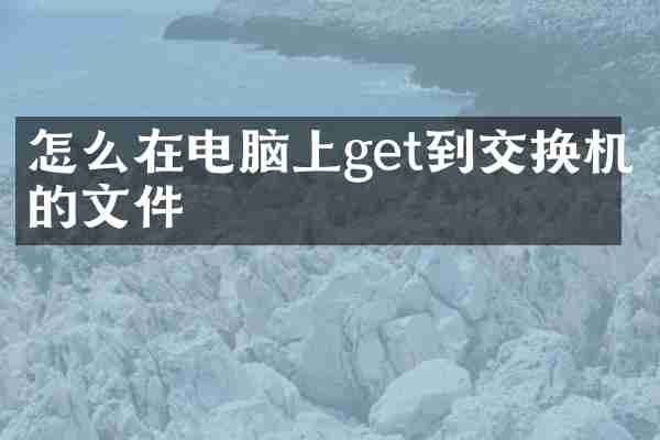怎么在电脑上get到交换机的文件