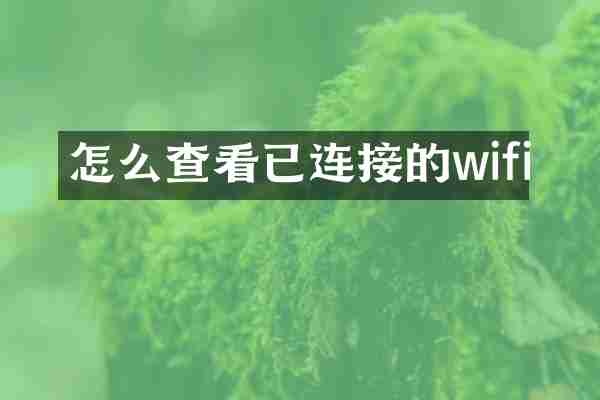 怎么查看已连接的wifi